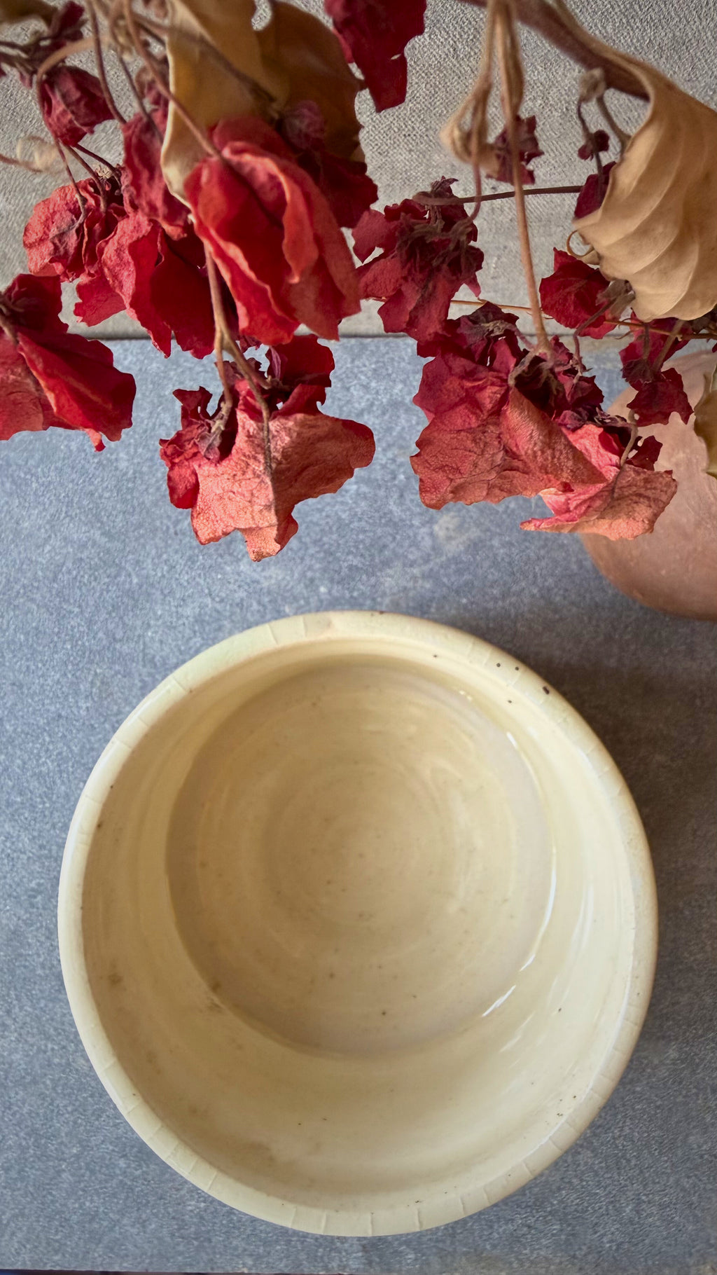 Pisces Twin Bowl