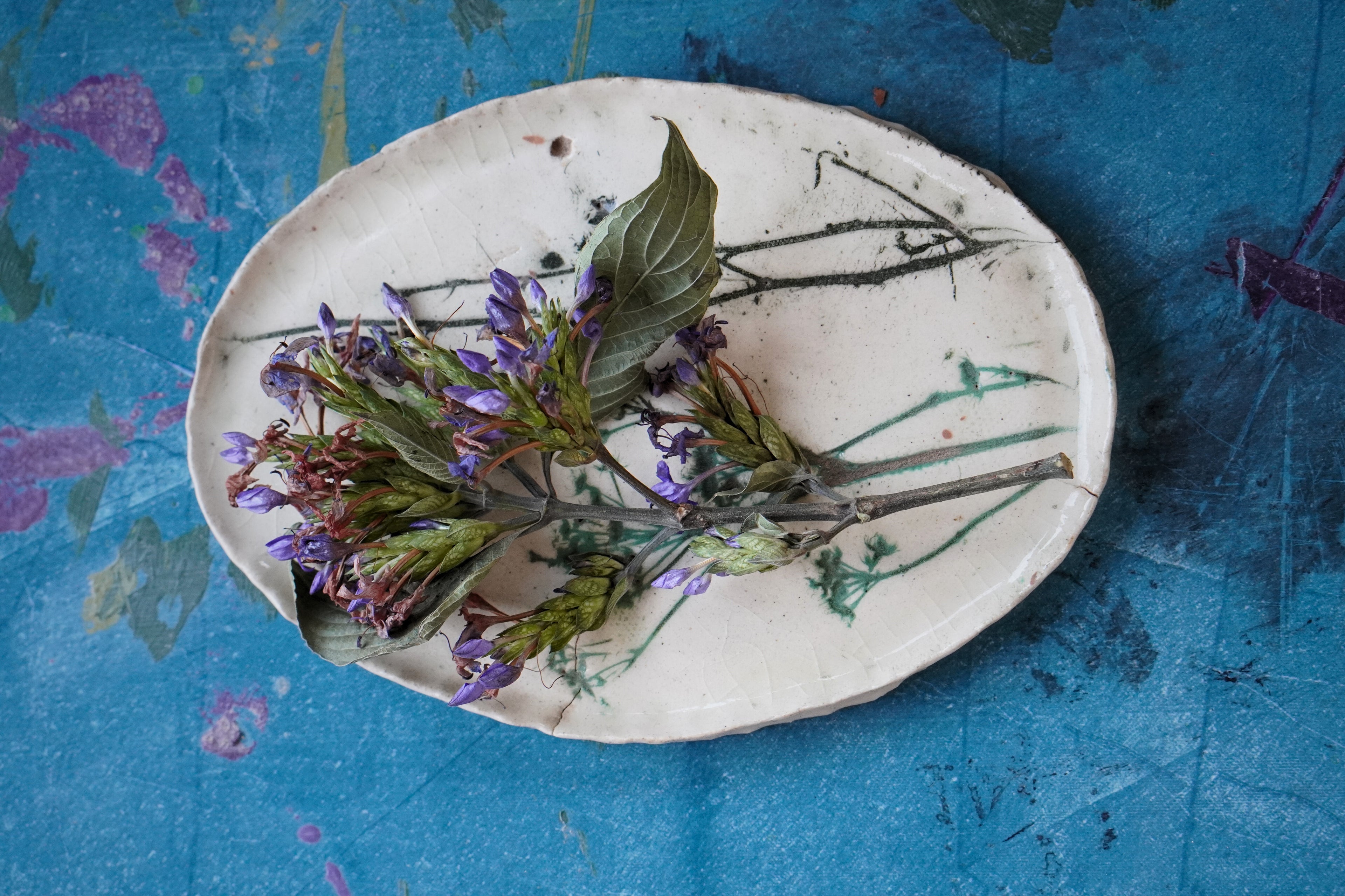 Fallen Stem Plate