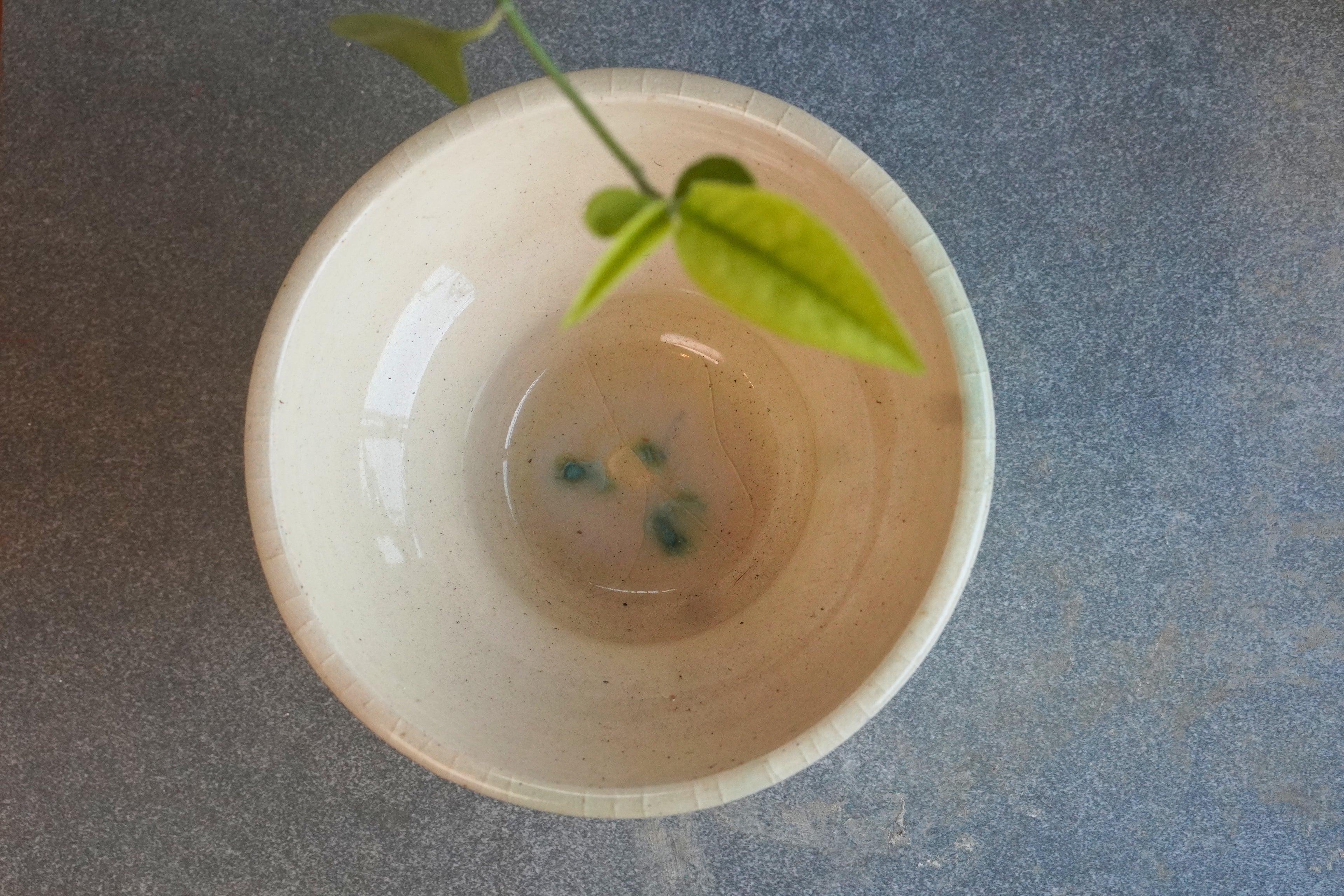Water Dragon Ramen Bowl